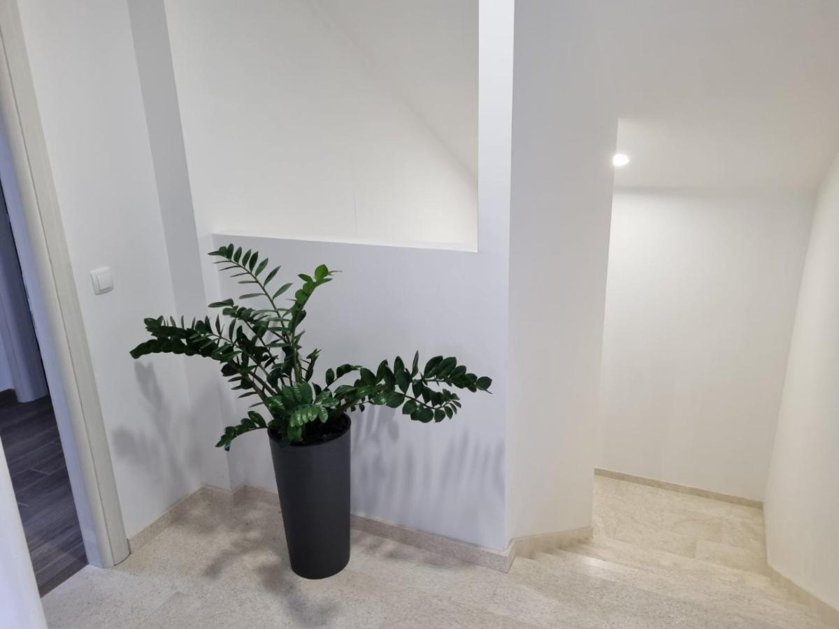 Apartmani Tolj 马卡尔斯卡 外观 照片