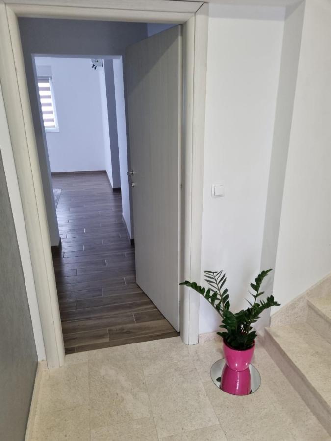 Apartmani Tolj 马卡尔斯卡 外观 照片